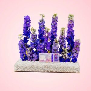 Acrylic Box